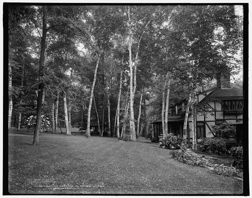 A Summer cottage on Green Island, Lake George, N.Y.