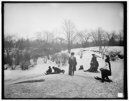 Coasting in Central Park, New York