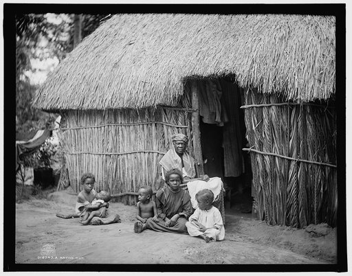 A Native hut