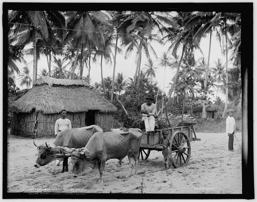 Puerto Rican country scene