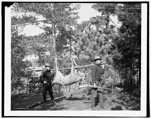 Hunting in the Adirondacks