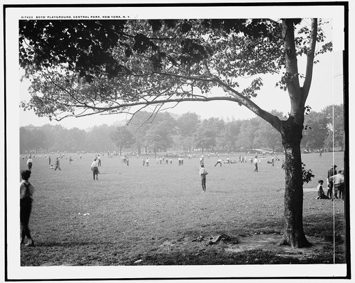 Boys' playground, Central Park, New York, N.Y.