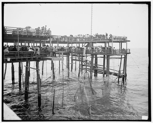 Hauling the nets, Young's Pier, Atlantic City, N.J.