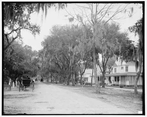 Ridgewood Avenue, Daytona, Fla.