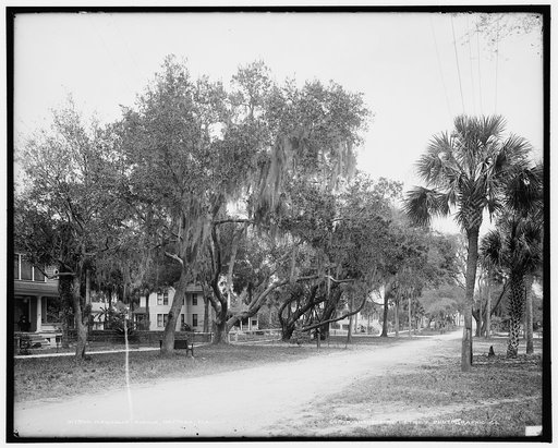 Magnolia Avenue, Daytona, Fla.