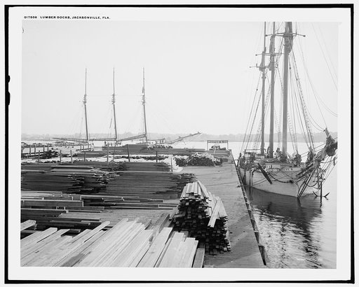 Lumber docks, Jacksonville, Fla.