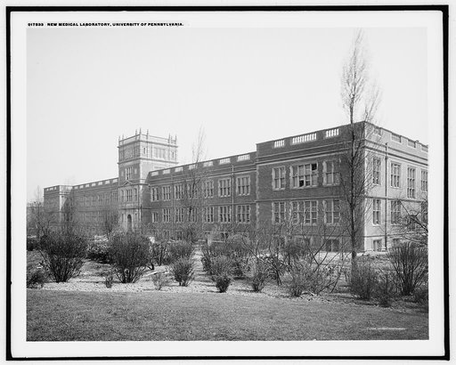 New medical laboratory, University of Pennsylvania