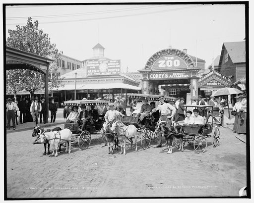 The Goat carriages, Coney Island, N.Y.
