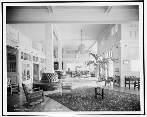 The Foyer, Natural Food Conservatory, Niagara, N.Y.