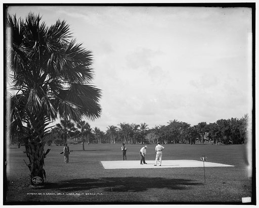 No. 3 green, golf links, Palm Beach, Fla.