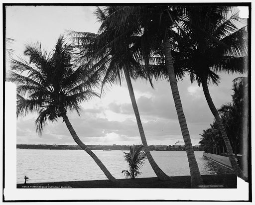 Sunset on Lake Worth, Palm Beach, Fla.