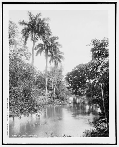 A Cuban landscape near Havana, Cuba