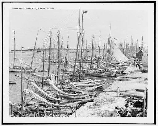 Sponge fleet, Nassau, Bahama Islands