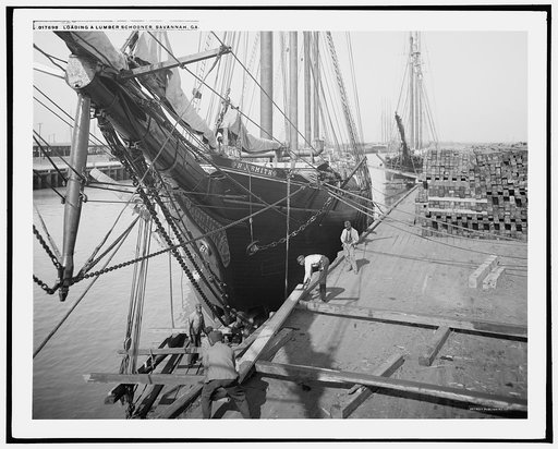 Loading a lumber schooner, Savannah, Ga.