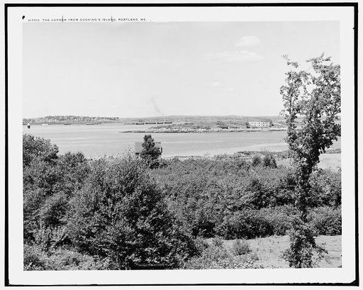 The Harbor from Cushing's Island, Portland, Me.