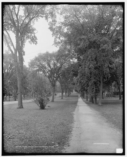 Main Street, Williamstown, Mass.