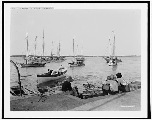 The Sponge fleet, Nassau, Bahama Isl[an]ds