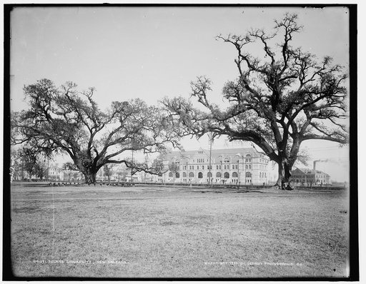 Tulane University, New Orleans