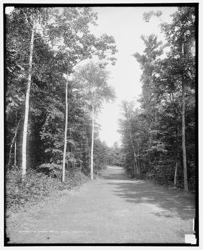 The Green drive, Hotel Champlain, N.Y.