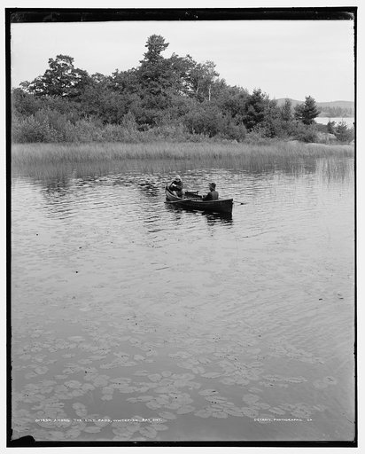 Among the lily pads, Whitefish Bay, Ont.