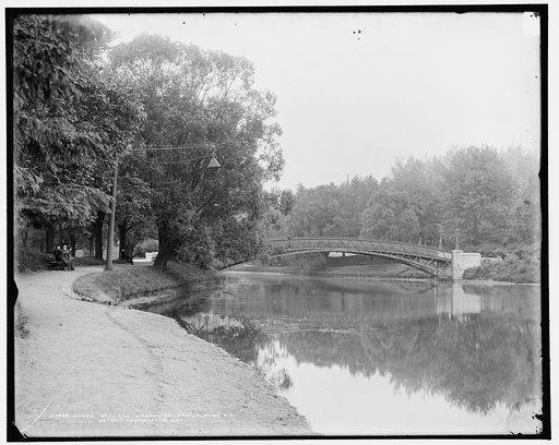 Shore of lake, Washington Park, Albany, N.Y.