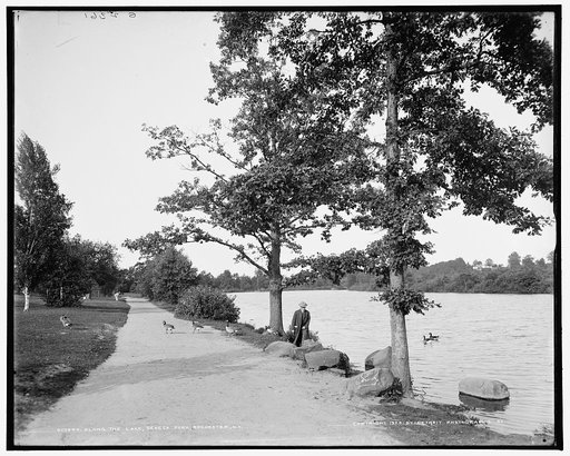 Along the lake, Seneca Park, Rochester, N.Y.