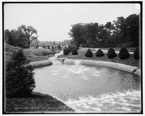 A Vista in Forest Park, Springfield, Mass.