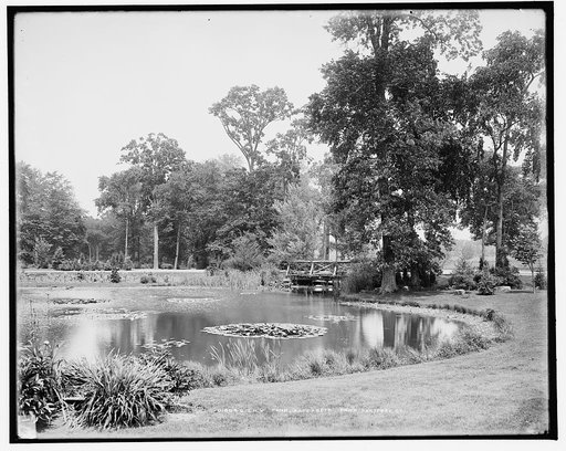 Lily pond, Elizabeth Park, Hartford, Ct.
