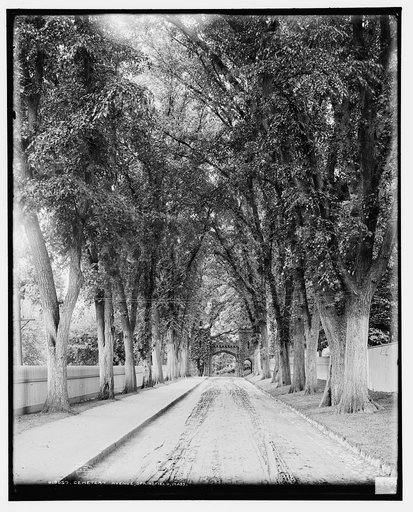 Cemetery Avenue, Springfield, Mass.