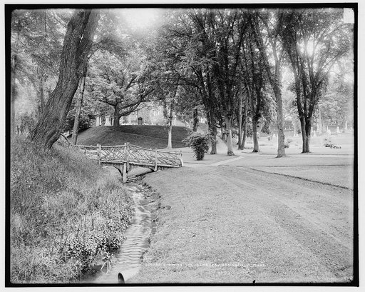 View in the cemetery, Springfield, Mass.
