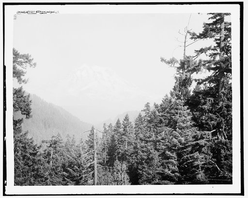 Mount Rainier, Wash.