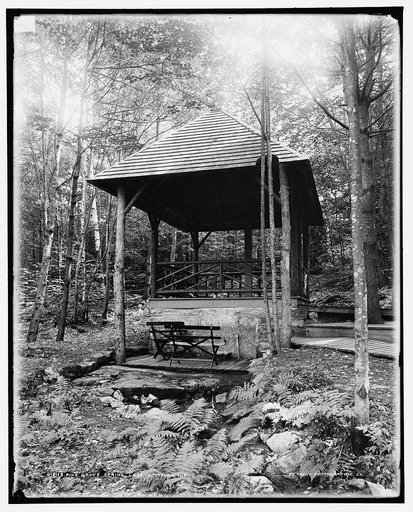 Pine Grove Spring, Lake Spofford, N.H.