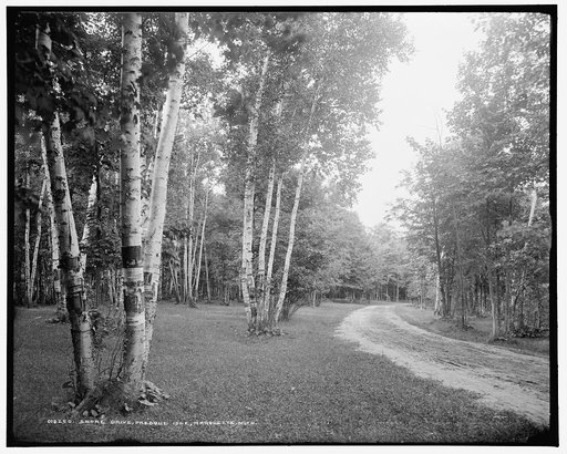 Shore Drive, Presque Isle, Marquette, Mich.