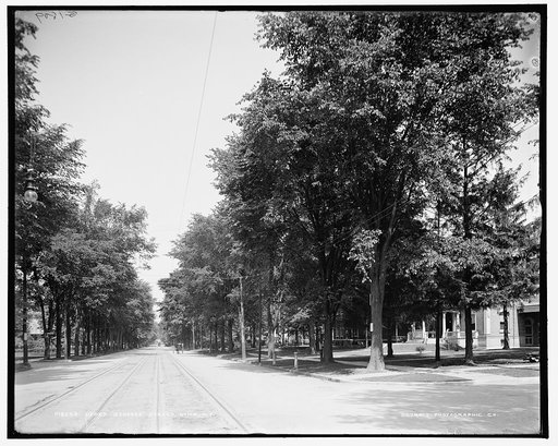 Upper Genesee Street, Utica, N.Y.