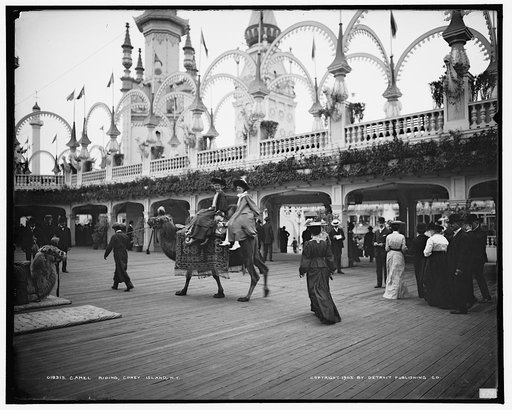 Camel riding, Coney Island, N.Y.