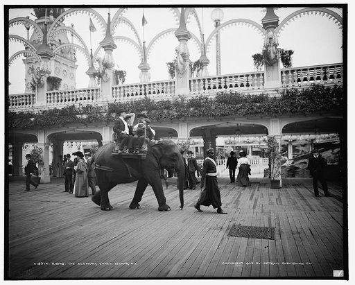 Riding the elephant, Coney Island, N.Y.