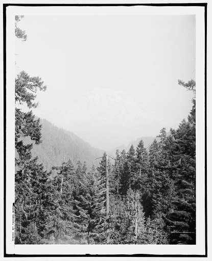Mt. Tacoma, Wash.
