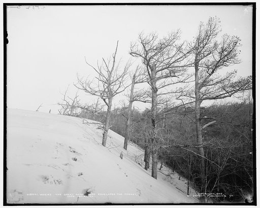 Where the great sand dune envelops the forest, Cape Henry, Va.
