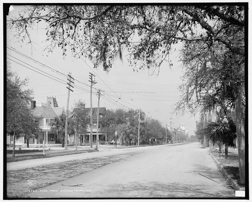 Hyde Park Avenue, Tampa, Fla.