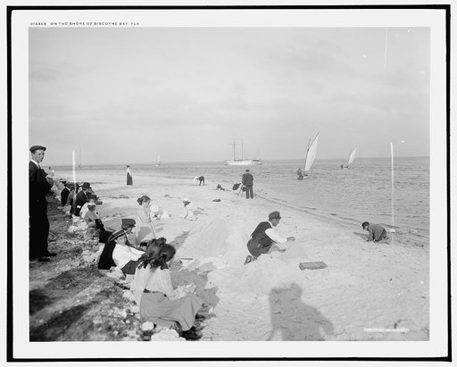 On the shore of Biscayne Bay, Fla.