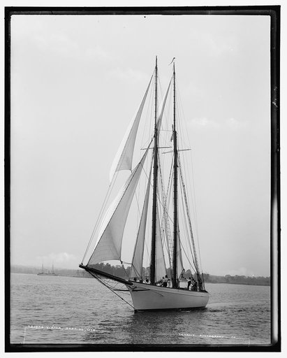 Viator