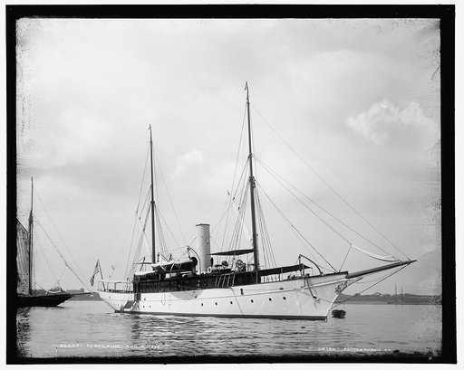 Peregrine