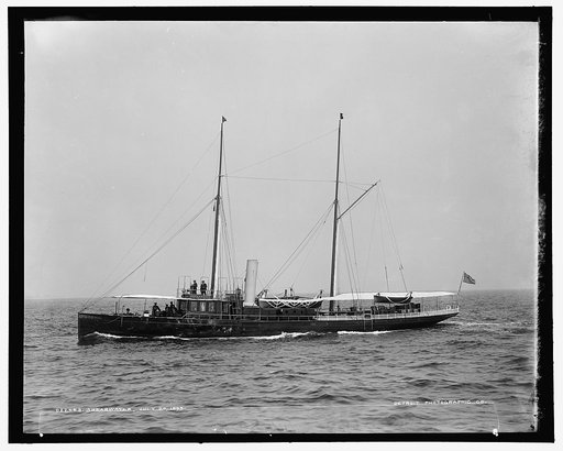 Shearwater