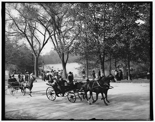 The Lake, Central Park, New York