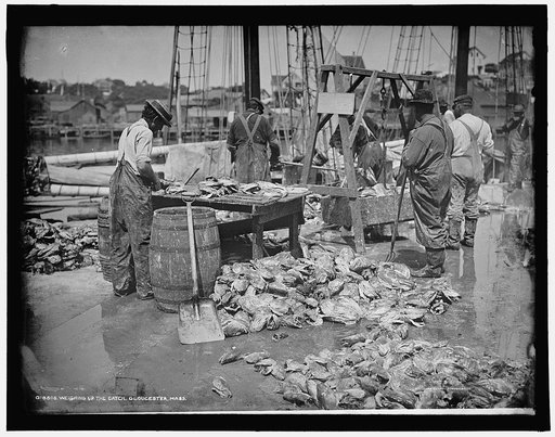 Weighing up the catch, Gloucester, Mass.