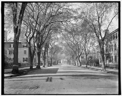 Chestnut St., Salem, Mass.