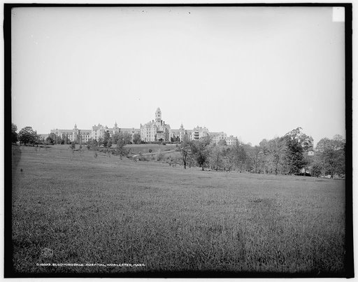 Bloomingdale Hospital, Worcester, Mass.