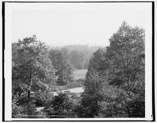 View in Franklin Park, Boston, Mass.