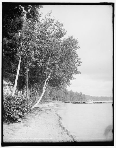 A Bit of Melvin [i.e. Tuftonboro] shore, Lake Winnipesaukee, N.H.