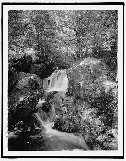 Roaring falls, Ossipee Mountain Park, LakeWinnipesaukee, N.H.